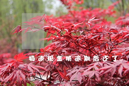 极速现金侠逾期后还了 极速现金侠逾期后还了