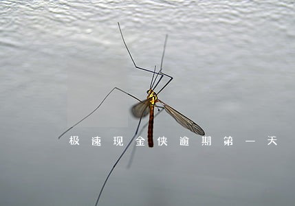 极速现金侠逾期第一天 极速现金侠逾期第一天