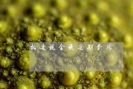 极速现金侠逾期费用 极速现金侠逾期费用