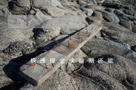 极速现金侠逾期还能