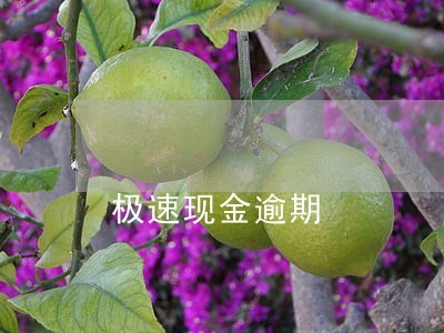 极速现金逾期 极速现金逾期