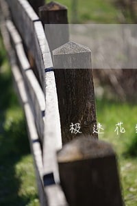 极速花给我打电话说我逾期了 极速花给我打电话说我逾期了