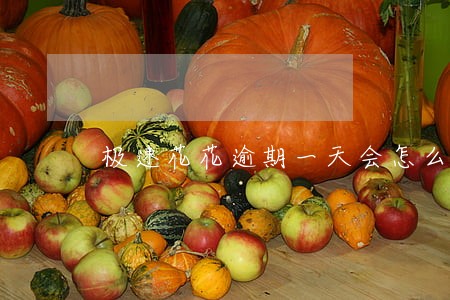 极速花花逾期一天会怎么样 极速花花逾期一天会怎么样