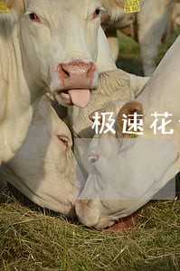 极速花说我逾期爆通讯录 极速花说我逾期爆通讯录