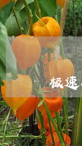 极速花逾期多久催收 极速花逾期多久催收
