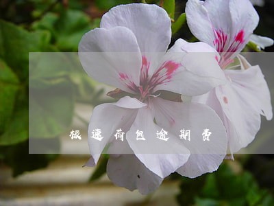 极速荷包逾期费 极速荷包逾期费