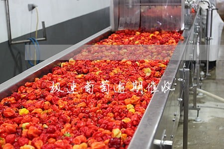 极速葡萄逾期催收 极速葡萄逾期催收