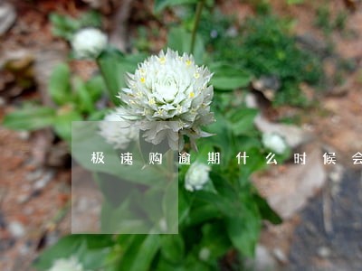 极速购逾期什么时候会爆通讯录 极速购逾期什么时候会爆通讯录