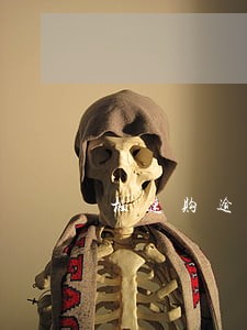极速购逾期几天爆通讯录 极速购逾期几天爆通讯录