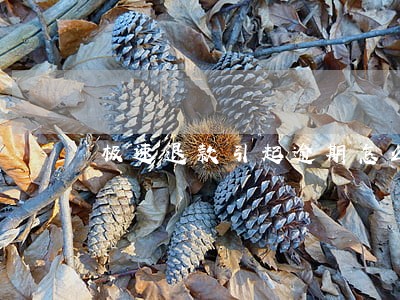 极速退款引起逾期怎么办 极速退款引起逾期怎么办