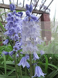 极速退款怎么会产生逾期 极速退款怎么会产生逾期