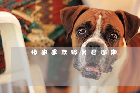 极速退款服务已逾期