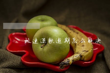 极速退款逾期怎么解决 极速退款逾期怎么解决
