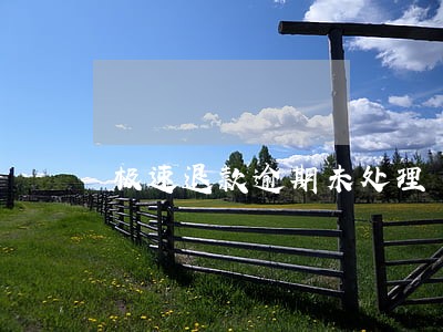 极速退款逾期未处理 极速退款逾期未处理