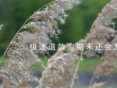 极速退款逾期未还会怎样 极速退款逾期未还会怎样