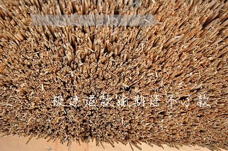 极速退款逾期还不了款