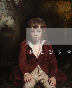 极速金服公司逾期