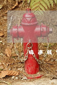 极速钱包侠逾期