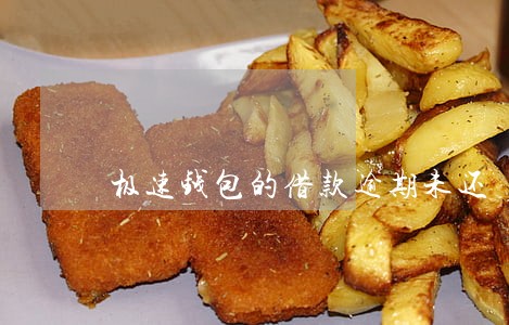 极速钱包的借款逾期未还 极速钱包的借款逾期未还