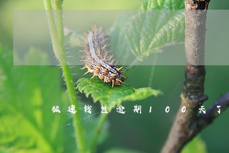 极速钱包逾期100天了 极速钱包逾期100天了