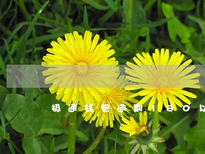 极速钱包逾期180以上 极速钱包逾期180以上