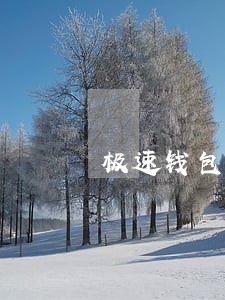 极速钱包逾期22天 极速钱包逾期22天