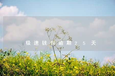 极速钱包逾期25天 极速钱包逾期25天