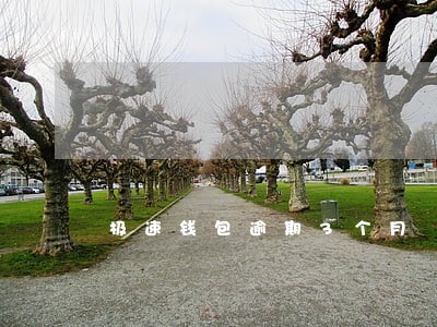 极速钱包逾期3个月