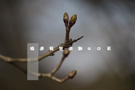 极速钱包逾期40天 极速钱包逾期40天