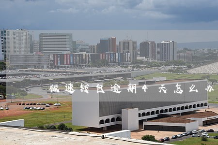 极速钱包逾期4天怎么办 极速钱包逾期4天怎么办