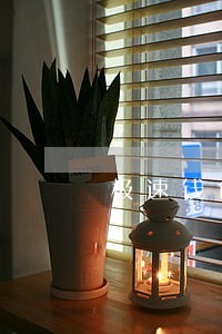 极速钱包逾期70天 极速钱包逾期70天