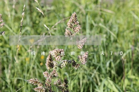 极速钱包逾期一天70 极速钱包逾期一天70