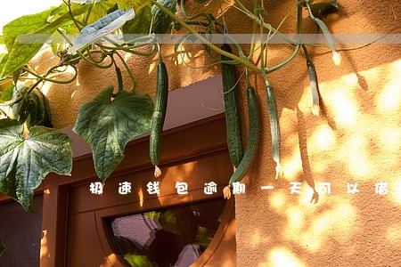 极速钱包逾期一天可以借吗 极速钱包逾期一天可以借吗