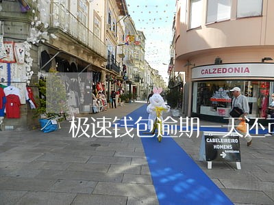 极速钱包逾期一天还可以再借吗 极速钱包逾期一天还可以再借吗