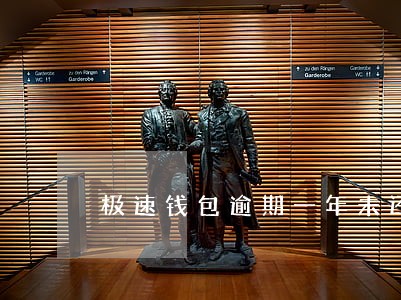 极速钱包逾期一年未还款 极速钱包逾期一年未还款