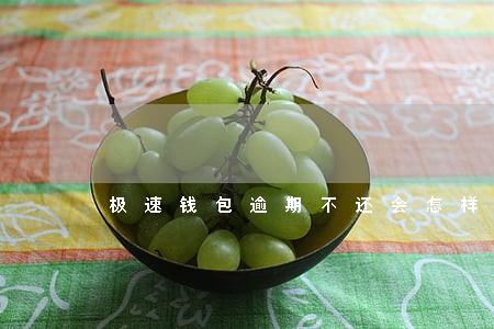 极速钱包逾期不还会怎样 极速钱包逾期不还会怎样