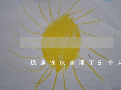 极速钱包逾期了5个月了 极速钱包逾期了5个月了