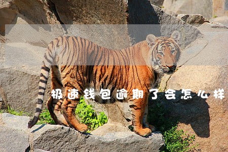 极速钱包逾期了会怎么样 极速钱包逾期了会怎么样
