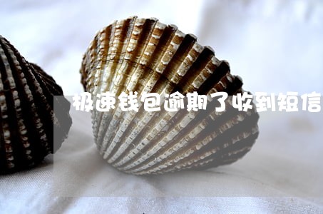 极速钱包逾期了收到短信
