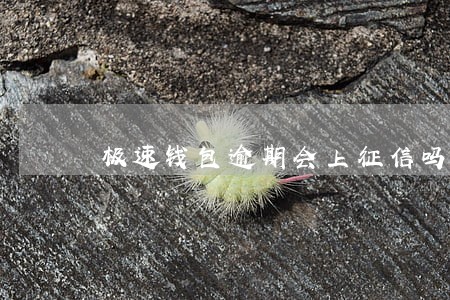 极速钱包逾期会上征信吗 极速钱包逾期会上征信吗