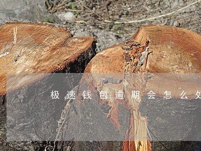 极速钱包逾期会怎么处理 极速钱包逾期会怎么处理