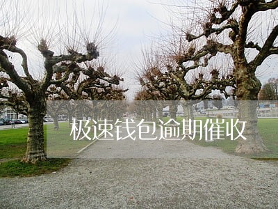 极速钱包逾期催收 极速钱包逾期催收