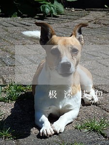 极速钱包逾期几天不能借 极速钱包逾期几天不能借