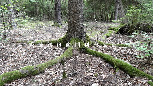 极速钱包逾期利息太高 极速钱包逾期利息太高