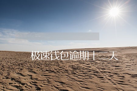 极速钱包逾期十二天