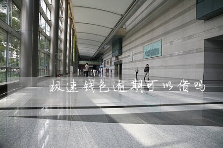 极速钱包逾期可以借吗 极速钱包逾期可以借吗