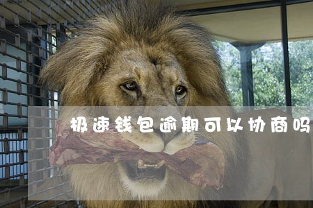 极速钱包逾期可以协商吗 极速钱包逾期可以协商吗
