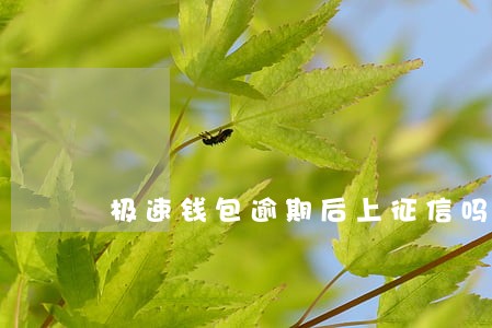 极速钱包逾期后上征信吗