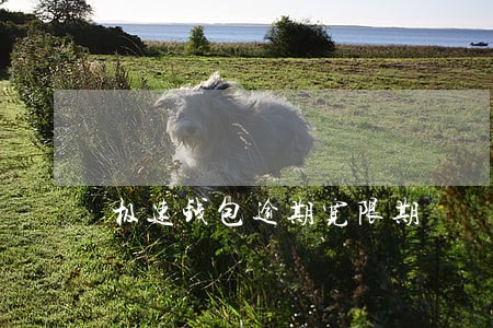 极速钱包逾期宽限期 极速钱包逾期宽限期