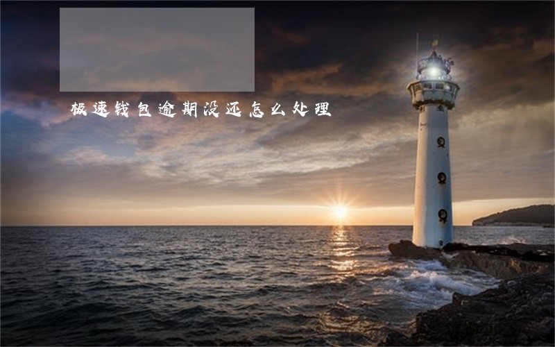 极速钱包逾期没还怎么处理 极速钱包逾期没还怎么处理